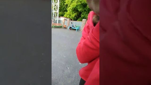 Нашли птицу его чуть не съела кошка смотреть онлайн