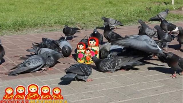 Арам зам зам туса смотреть онлайн