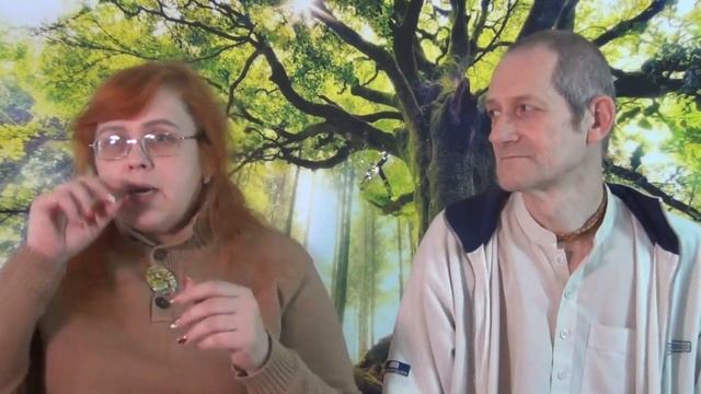 Познавательные программы