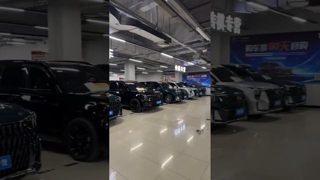“Русский Китаец (Авто из Китая и Кореи)”正在直播！ смотреть онлайн