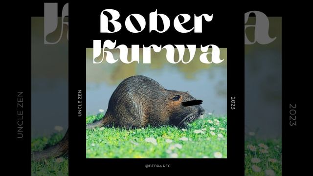 Bober Kurwa