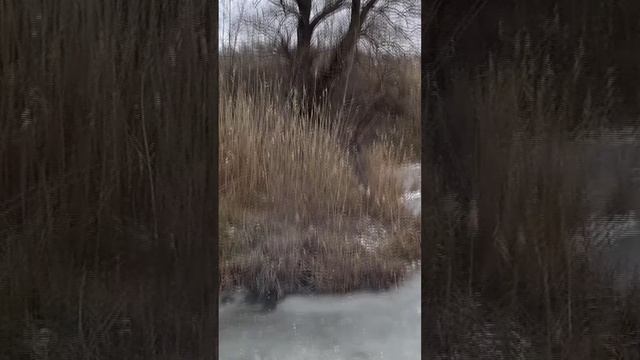 Мощная петарда БАХ взрывает лед смотреть онлайн