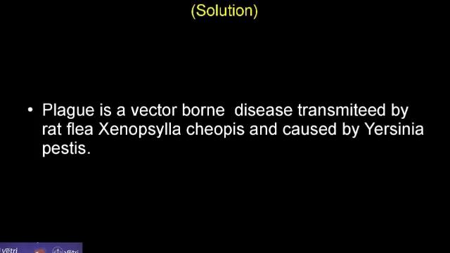 Zoology : 2018 : Test - 18 : Question - 27 смотреть онлайн