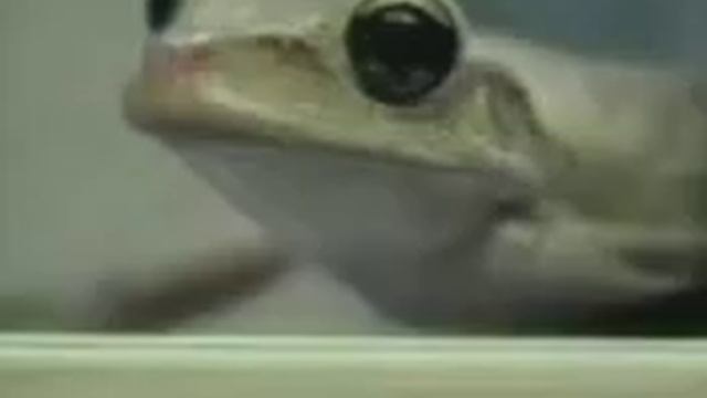 штоб я лопнул смотреть онлайн