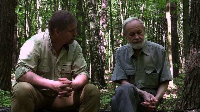 Охота на глухаря весной