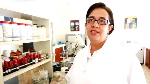 No tenemos enfermedades del cacao, gracias el Dios смотреть онлайн