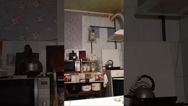 Скажу кабачки смотреть онлайн