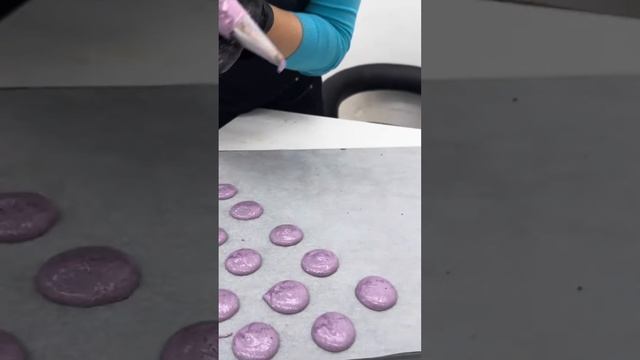 Tout les secrets de macarons sont la chez nous смотреть онлайн