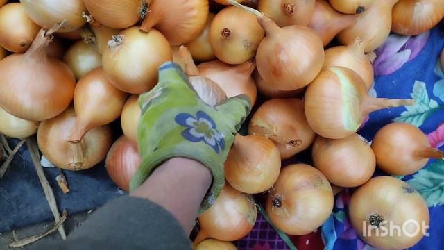 КОНСЕРВОВАНА цибуля з морквою і без 🔥ЗБЕРІГАЄТЬСЯ до нового врожаю і довше 💥 смотреть онлайн