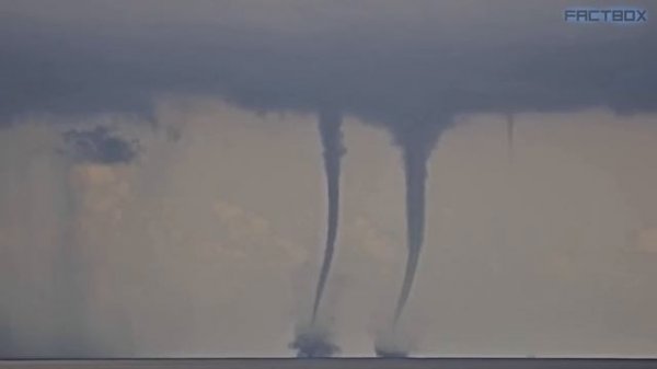 НЕ ПРИБЛИЖАЙТЕСЬ, Если Увидите ЭТО! Случаи В ПРИРОДЕ Один На МИЛЛИОН! #4