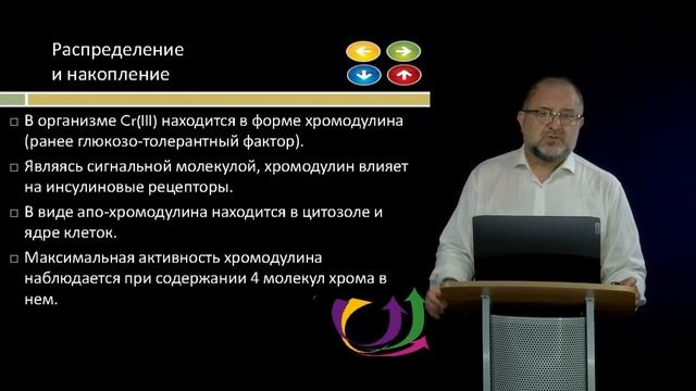 15 Биоэлементы в питании Хром смотреть онлайн