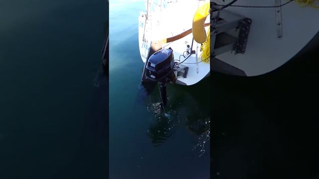 Tohatsu 5 hp 4-Stroke Long Shaft (10/2/2013) смотреть онлайн