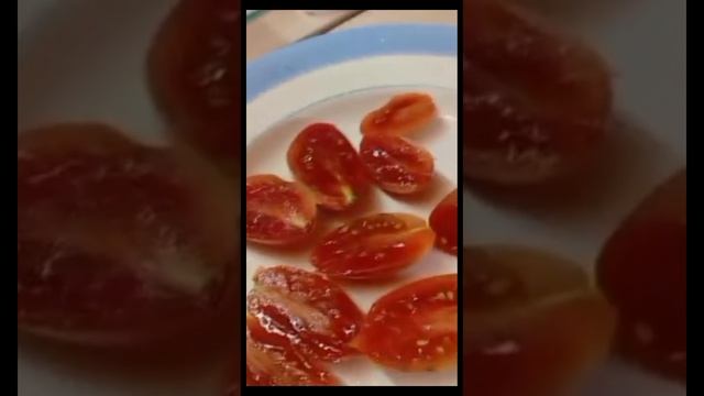 Обзор и дегустация томатов БРУСИЛОВСКИЙ ,ИНДИЙСКОЕ МЯСО,КОЗУЛА 172, САН МАРЦАНО И ДР смотреть онлайн