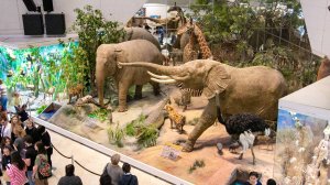 Дарвиновский музей.