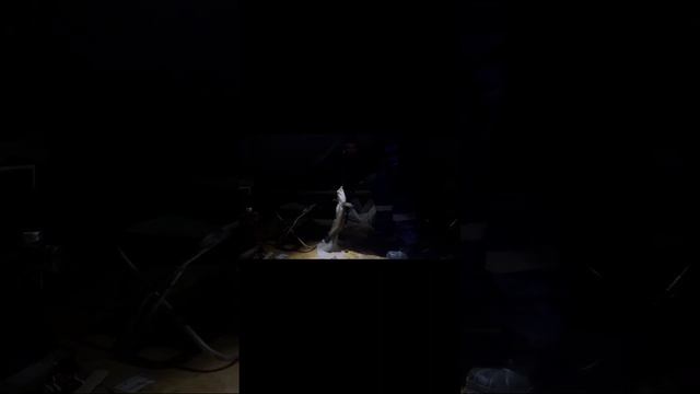 Подлёдная рыбалка в 2025 году смотреть онлайн