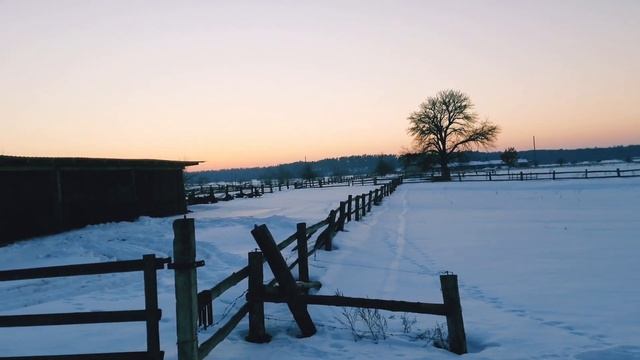 Фермерські перспективи, прогнози, дискусії !! смотреть онлайн