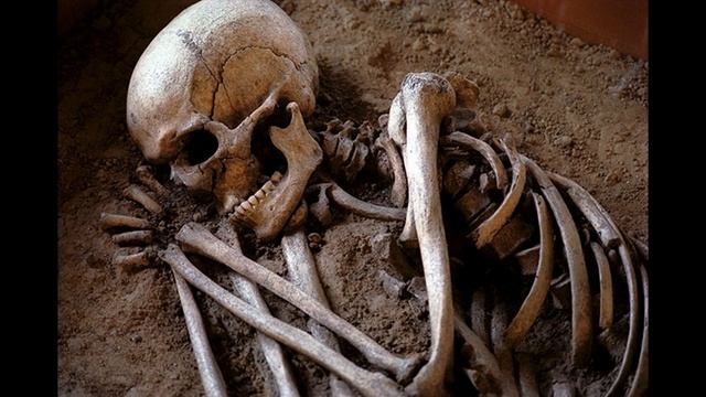 дружище!!!!!!! смотреть онлайн