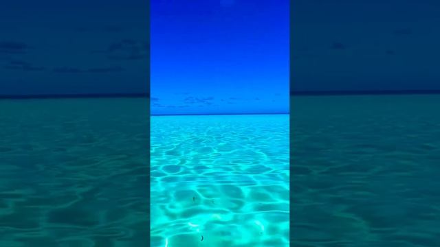 Crystal Clear Beach in Cuba 🇨🇺 #varadero #cayococo #cayosantamaria смотреть онлайн