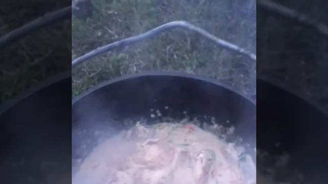 Готовлю кролика а сметанном соусе смотреть онлайн