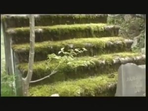 У подножия неба.