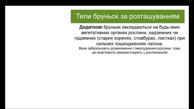Вегетативні органи рослин - пагін, будова, функції та видозміни. Лабораторна робота. смотреть онлайн