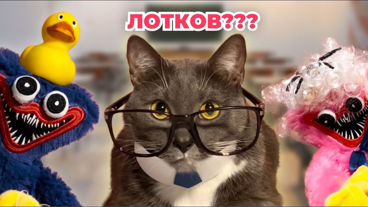 ЕСЛИ БЫ КОТИКИ ХОДИЛИ В ШКОЛУ - СОЧИНЕНИЯ И ШКОЛА ХАГИ ВАГГИ смотреть онлайн