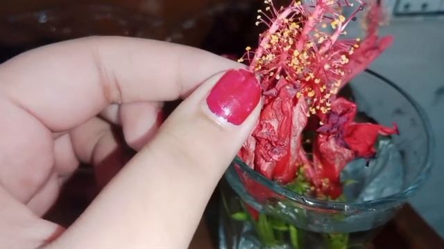 Permanent Skin Whitening Drink 🍷/ Hibiscus Gul Gurhal/ Hormona Balanced Drink