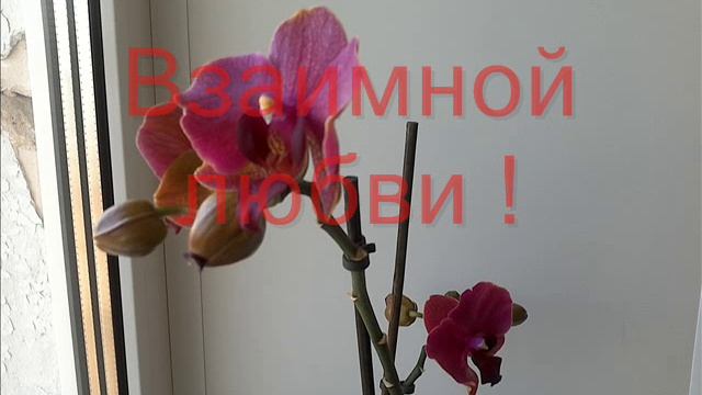 С Новым Годом ! смотреть онлайн
