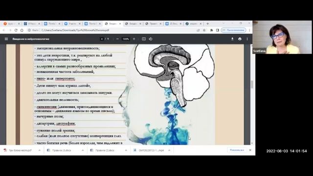 Психофизиологические особенности работы головного мозга Три блока головного мозга ВПФ и их мозгова смотреть онлайн