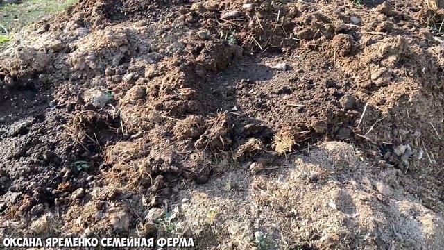 Дети помогают / Садим огурцы / Куча навоза / Влог от 29.05.21 смотреть онлайн