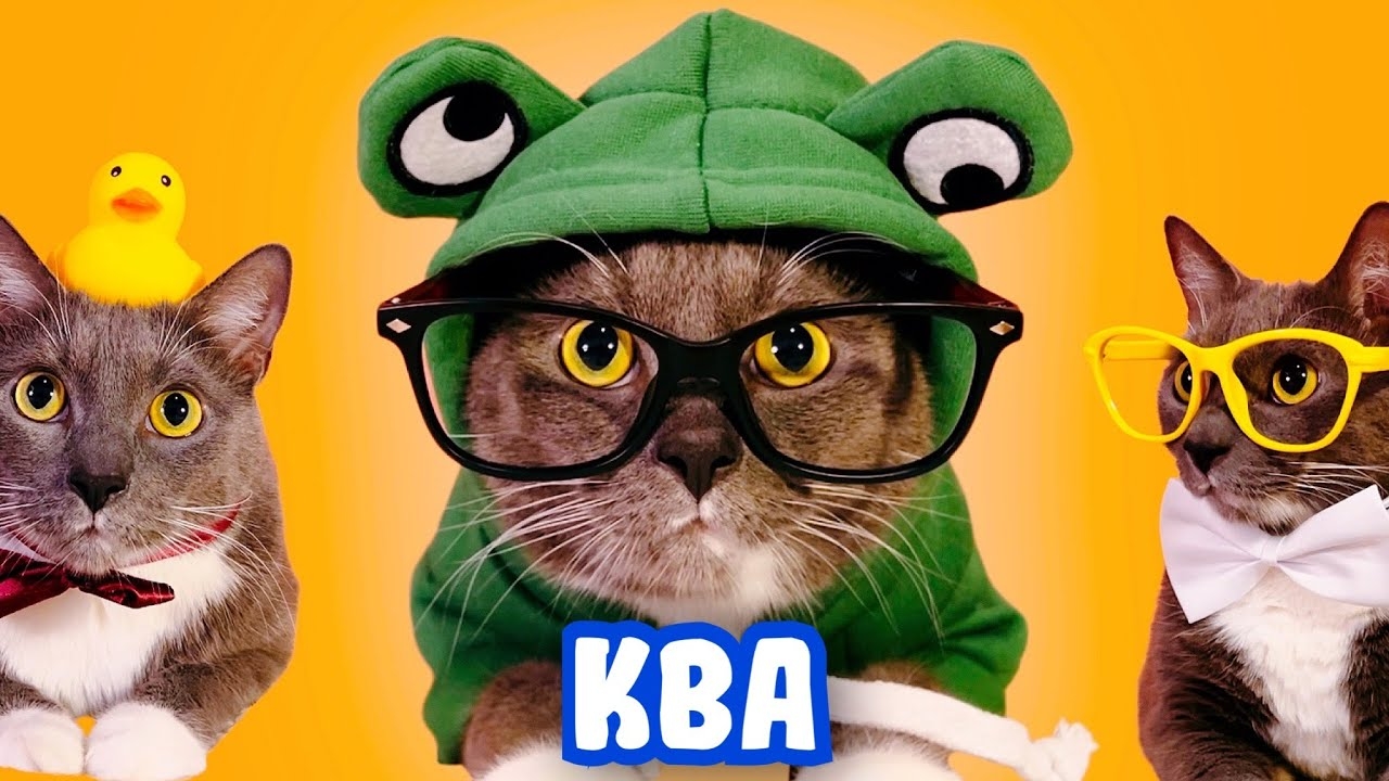 ЛЕТО В ШКОЛЕ КОТИКОВ смотреть онлайн