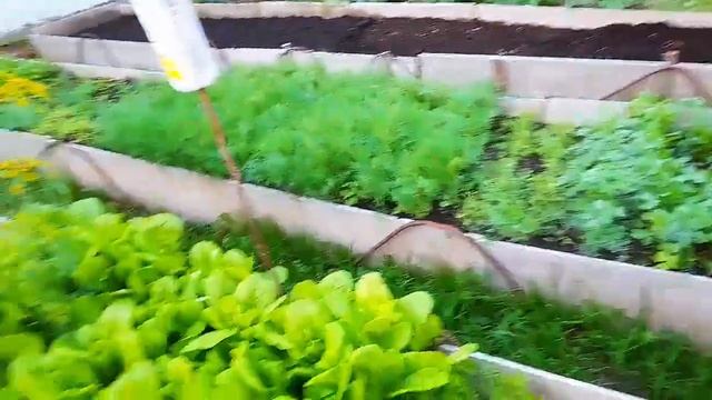 Дача и еда на костре (Диана ломи💞) смотреть онлайн