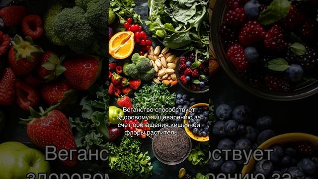 Веганские рецепты для здорового пищеварения смотреть онлайн