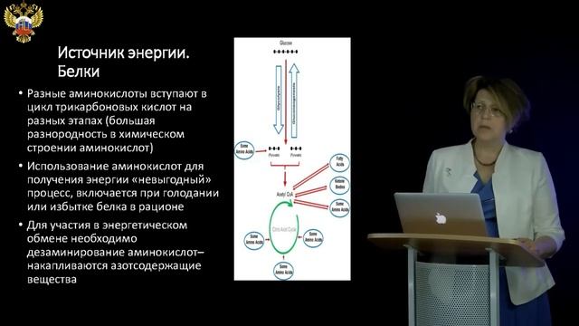 2 Энергетический обмен Регуляция массы тела Источник энергии Регуляция обмена веществ смотреть онлайн