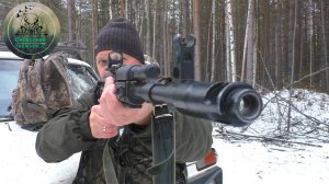 ОХОТА НА ЛОСЯ  С ЛАЙКАМИ / ГОТОВИМ ЛОСЯ НА СКОВОРОДЕ / ВЫВОЗКА МЯСА НА МОТОСОБАКЕ #ARTELV