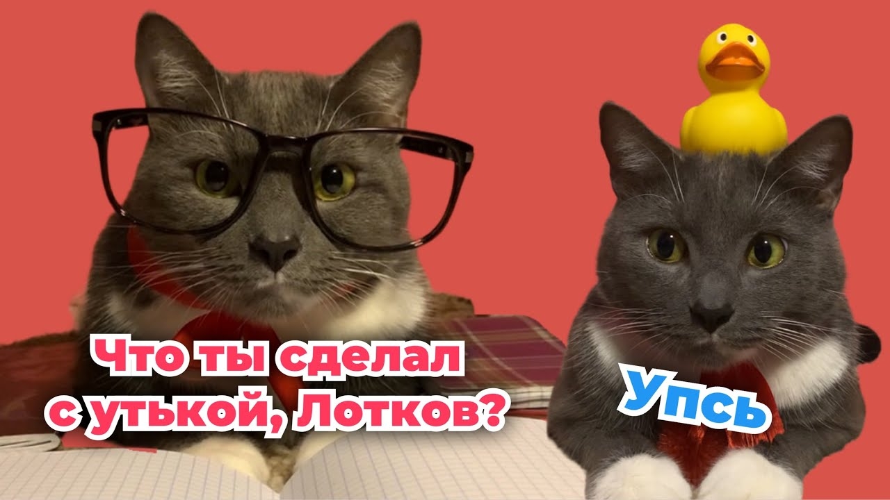 ЕСЛИ БЫ КОТЫ ХОДИЛИ В ШКОЛУ - ПИСЬМО ДЕДУ МОРОЗУ смотреть онлайн