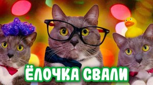 КОТИКИ ГОТОВЯТСЯ К НОВОМУ ГОДУ!