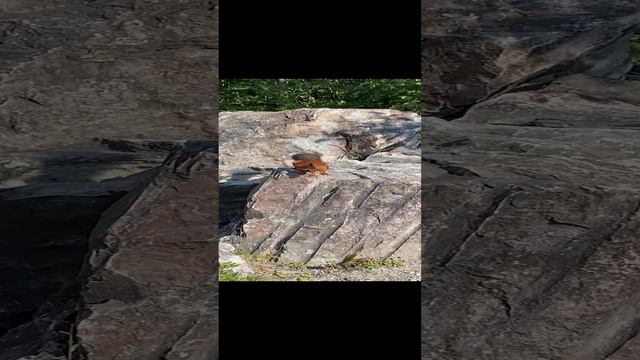 Горный парк Рускеала