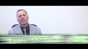 Риалам   русское чудо
