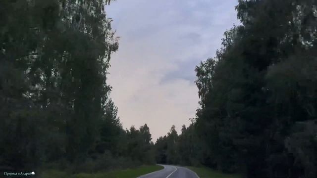 STORM CHASING | ПОГОНЯ ЗА ГРОЗОЙ НА МАШИНЕ! ДОГНАЛИ и ПЕРЕХВАТИЛИ другую ячейку | 13 Августа,2024.