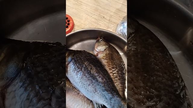 Как быстро почистить рыбу #полезныесоветы #любителямрыбалки