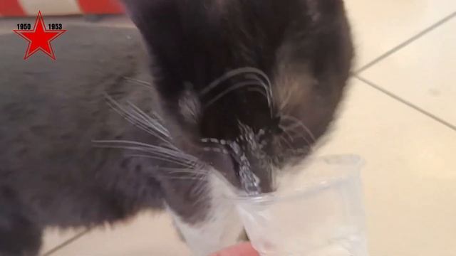 Гуманитарная акция посвященная 100-летию со дня рождения Героя Советского Союза Крамаренко С.М. смотреть онлайн