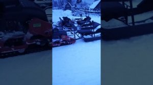 тофалары лонги 500 и 600