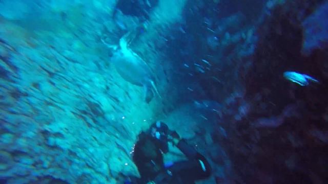 Buceo en Rocas Alijos смотреть онлайн