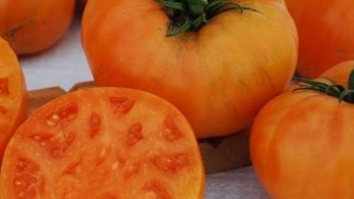 МОИ НОВИНКИ ТОМАТОВ НА ЭТОТ СЕЗОН. смотреть онлайн