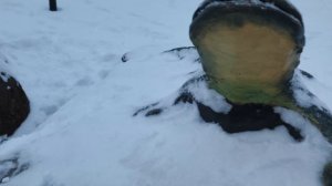 Поездка по городу Котлас .