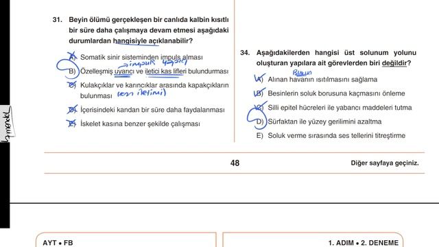 MEB 3 ADIM AYT DENEMELERİ DENEME 2 |BİYOLOJİ ÇÖZÜMLERİ (1.ADIM)