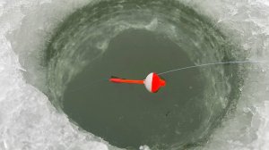 ВЛУПИЛО ПОПЛАВОК на ТЕЧЕНИИ! Крупняк реки идёт.