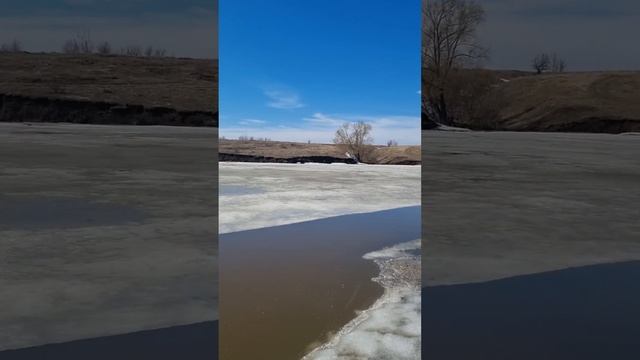 Деревенский пруд ещё под льдом.
