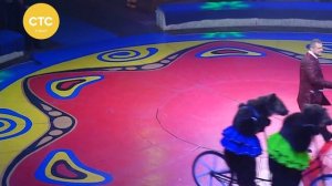 Цирк Филатовых